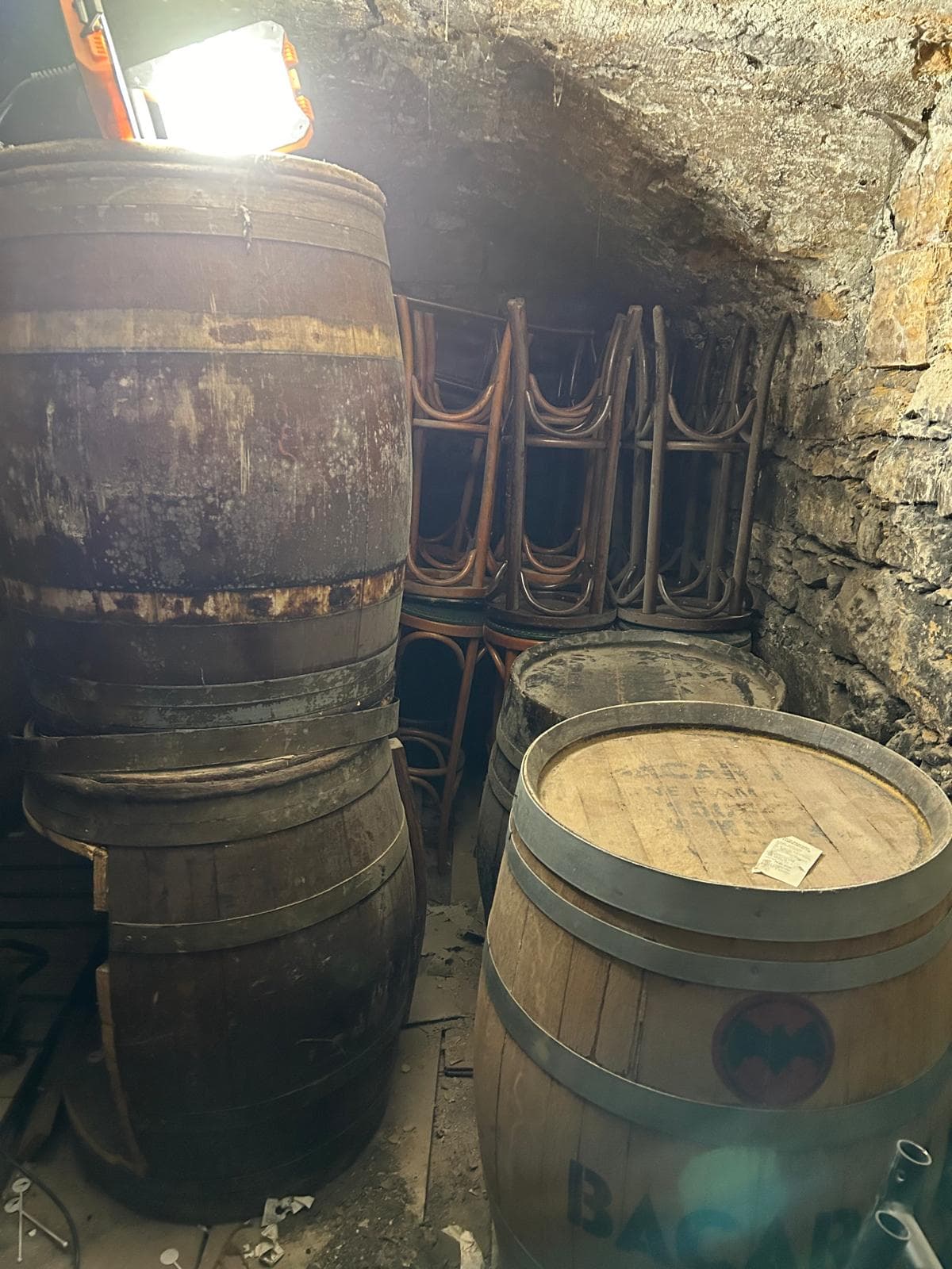 WhatsApp Image 2025-05-06 à 20.18.50_972a0c47.jpg